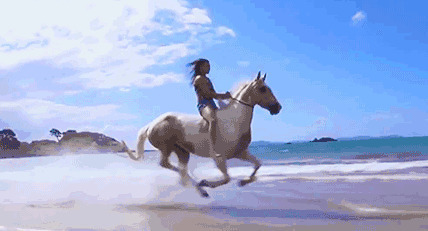 漂亮的女孩在海边骑白马gif图片