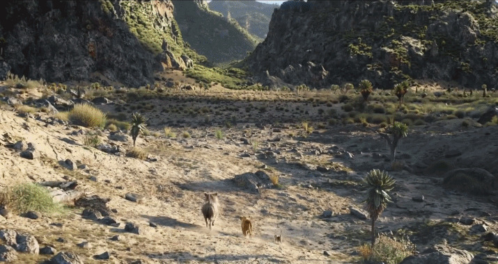 一群小动物在大山里快速的走路gif图片