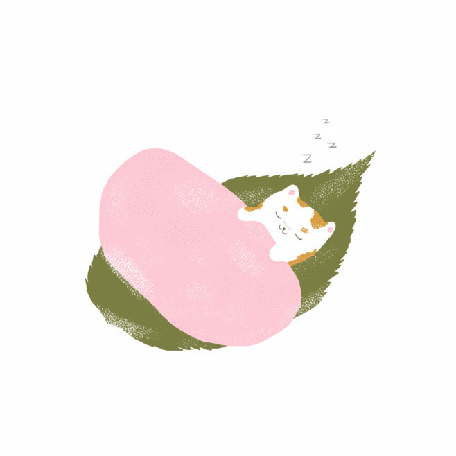 熟睡的小猫动画图片:猫猫