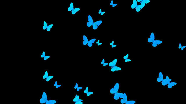 黑色背景高亮蝴蝶群素材图片:蝴蝶