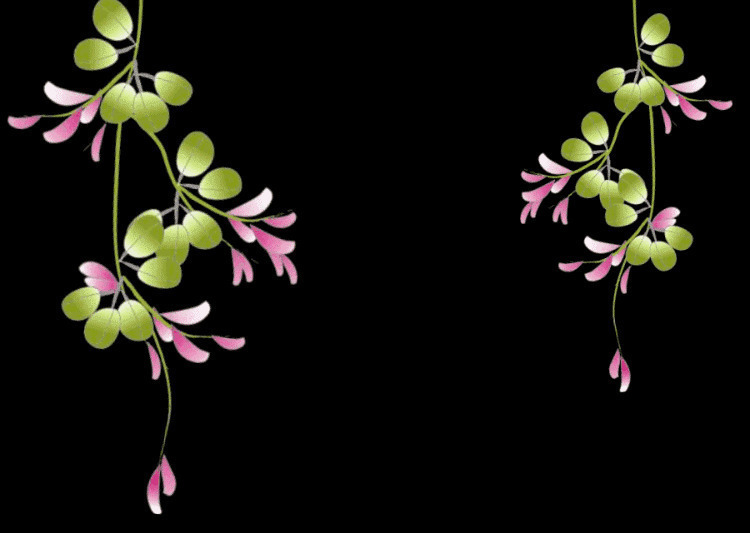垂下的绿色植物GIf素材图片:植物,花卉