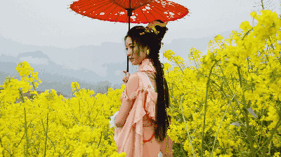 油菜花田里一位漂亮的女孩打着红色的雨伞gif图片