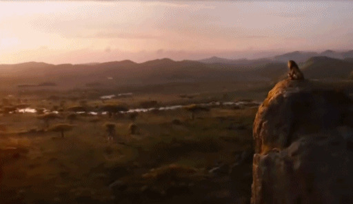 狮子站在大山的石头上看山下gif图片:狮子