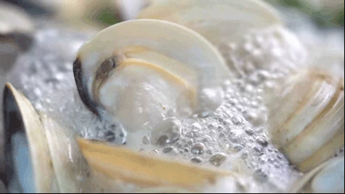 鲜美的海白汤动态图片:海鲜