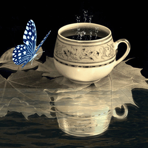 一只蝴蝶在茶杯前翩翩起舞gif图片:蝴蝶