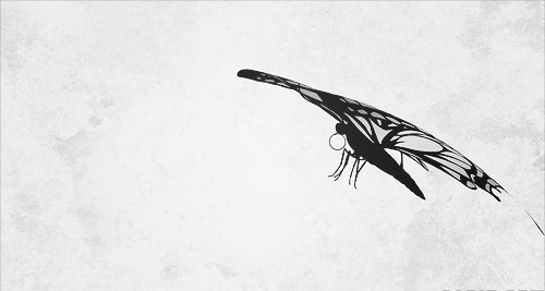 一只灰色的卡通蝴蝶在空中不停的飞舞gif图片:蝴蝶