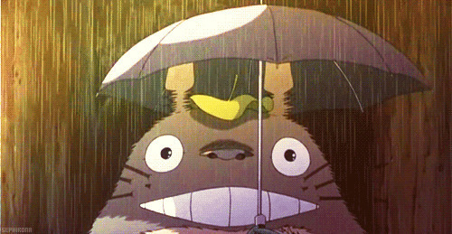 卡通龙猫雨中打伞的表情图片:下雨,撑伞,龙猫