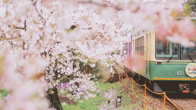 花园里开过的列车动态图片:火车