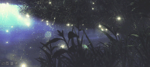 夜晚湖边的萤火虫动态图片:萤火虫