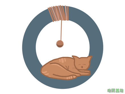 睡眠中的猫咪动画图片:猫猫