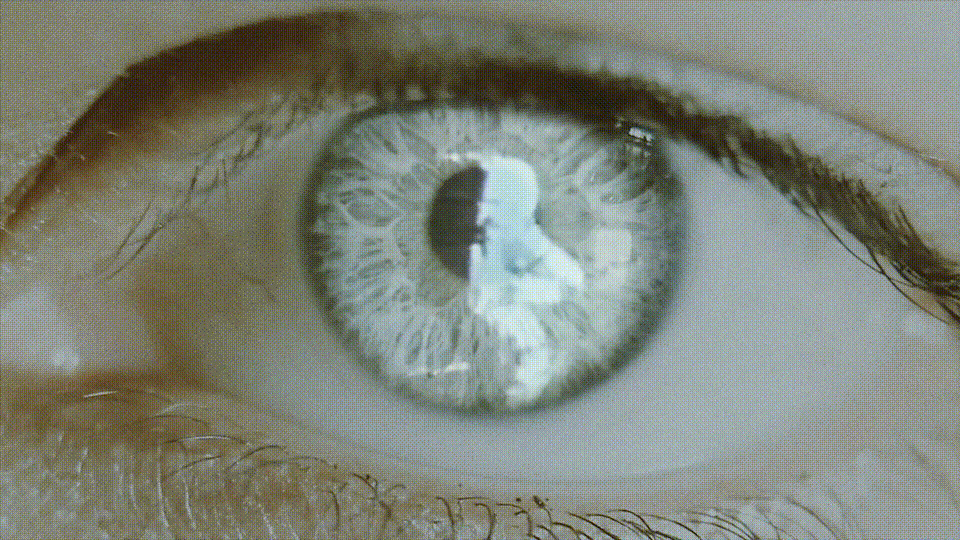 眼球里透视的影像动态图:眼球,眼睛
