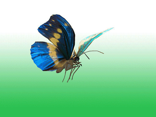 一只蝴蝶在空中煽动者翅膀gif图片