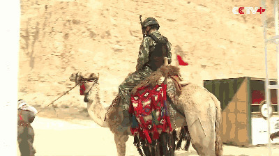 骑着骆驼拿着枪的士兵进城gif图片