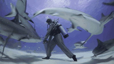 潜水员在海底与鲨鱼玩耍gif图片