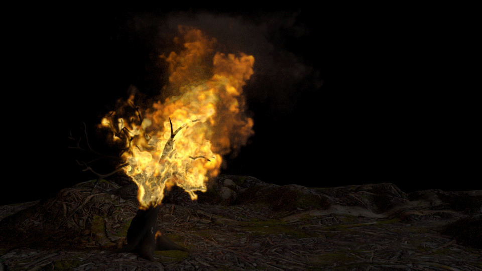 黑夜里一颗树桩燃起里熊熊大火gif图片