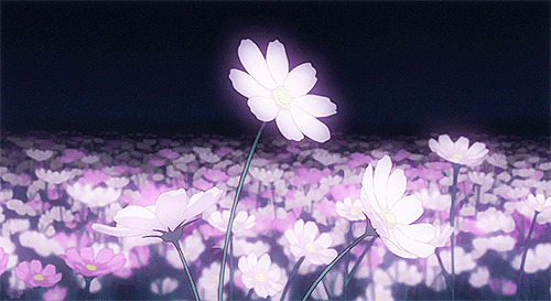 花海中的一朵花动画图片:花海