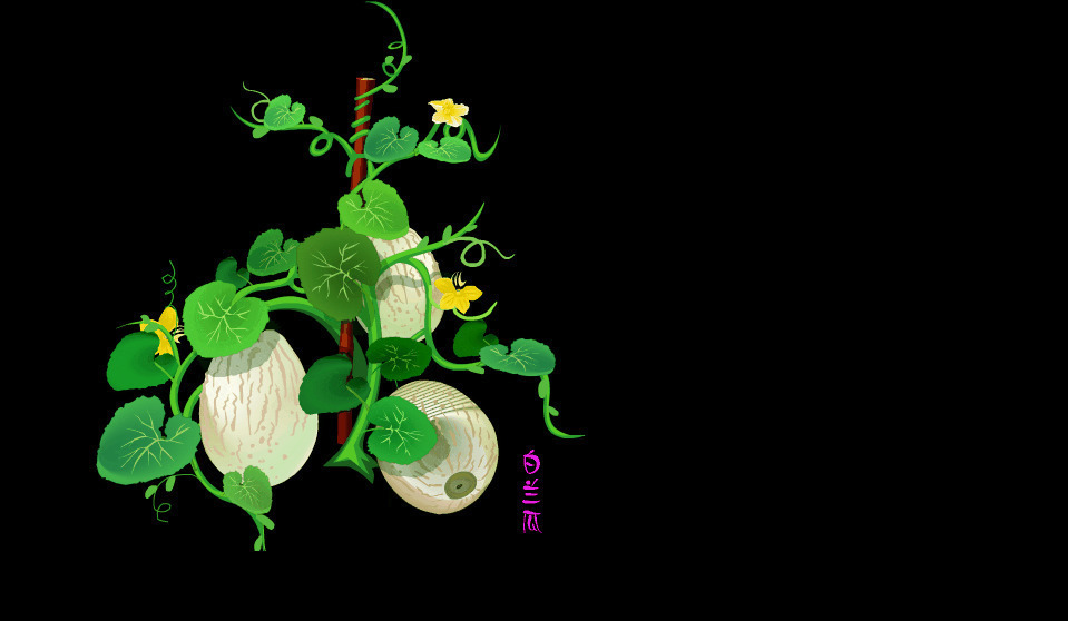 藤蔓上长出的果实gif素材图片:果实,植物