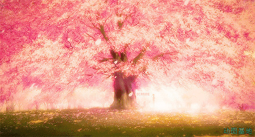 树枝上的花瓣迎风起舞十分的美丽gif图片