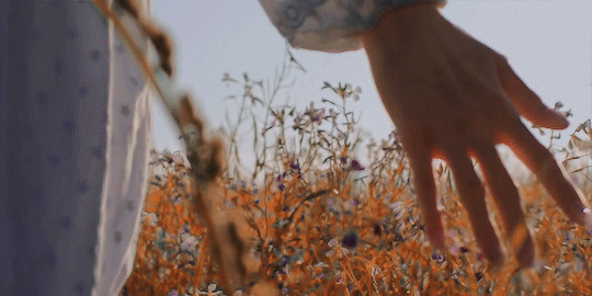 美丽的姑娘站在花田中用手轻轻的抚摸鲜花gif图片