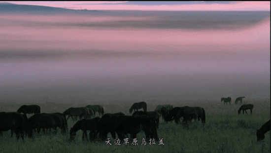 黄昏的草原上成群的骏马在吃草gif图片