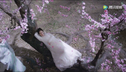 美丽的姑娘躺在桃树上睡觉gif图片