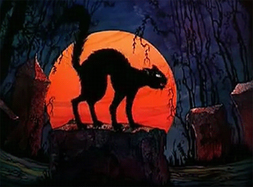 一只瘦弱的狐狸在月光下吼叫gif图片