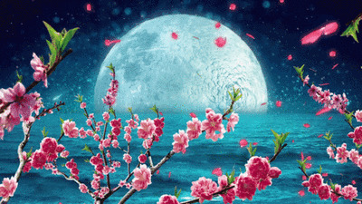 唯美的梅花和月亮gif素材图片