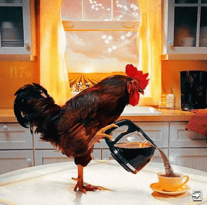 老公鸡倒咖啡gif图片:老公鸡