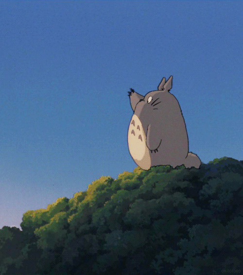 可爱的龙猫站在山顶朝你挥手GIF图片:龙猫