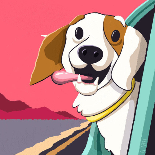 狗头伸出车窗外动画图片:狗狗