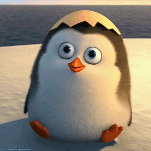 小企鹅可爱呆萌动画图片