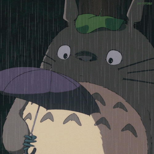 下雨了卡通龙猫拿着一把小伞遮挡不住风雨GIF图片:龙猫