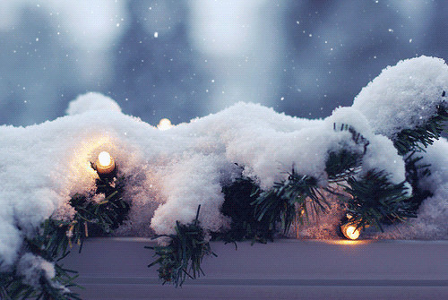 一片白雪覆盖的景色唯美动态图:落雪,白雪