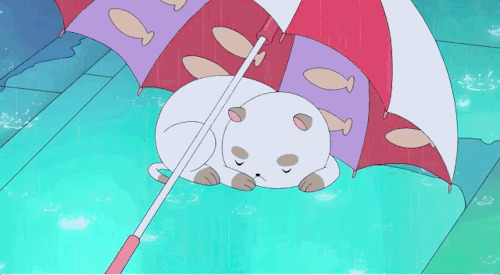小懒猫躲雨动画图片