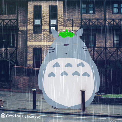 龙猫站在雨中淋雨动画图片