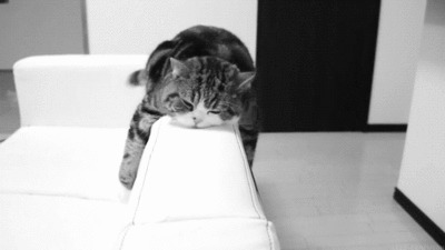 一只小花猫趴在沙发的边缘上摇着尾巴睡觉GIF图片