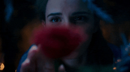 女人看到玫瑰花的表情图片:玫瑰花
