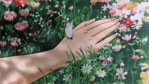 手臂伸进花丛一只白色的蝴蝶落在了手上gif图片:蝴蝶