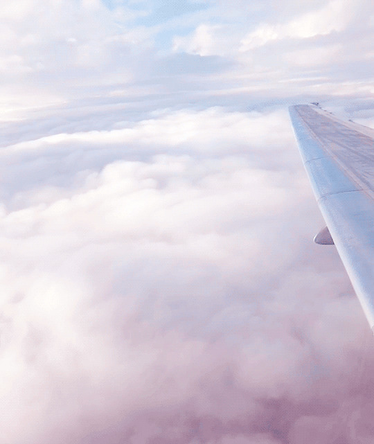 飞机上看绝美的云海gif图片:云海