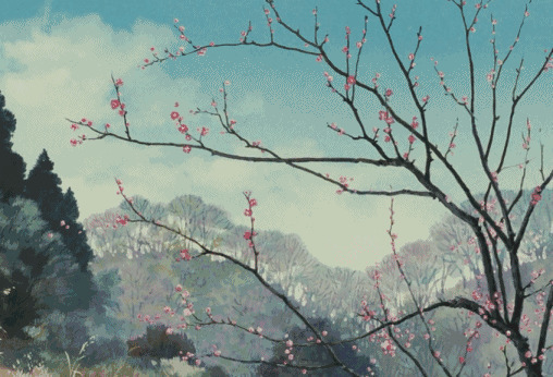 两只喜鹊在腊梅树的枝头上跳来跳去GIF图片