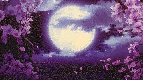 风花月夜圆圆的月亮樱花不停的从树上飘落GIF图片