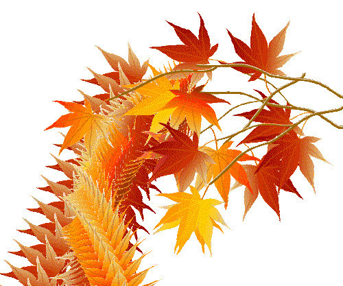 片片落下的红叶gif素材图片:红叶,落叶