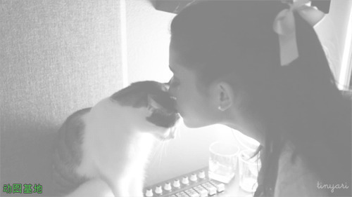 女主人与可爱的小猫咪亲吻gif图片