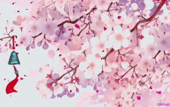 娇艳梅花花瓣飘落唯美动态图片素材:梅花,花落