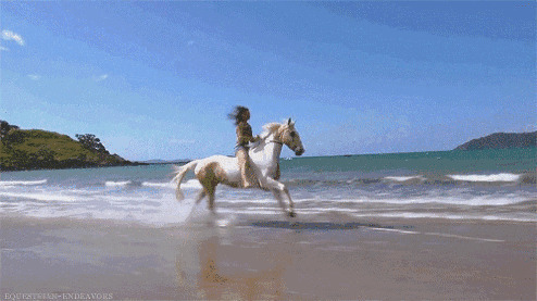潇洒的女孩骑着白马在海边狂奔gif图片
