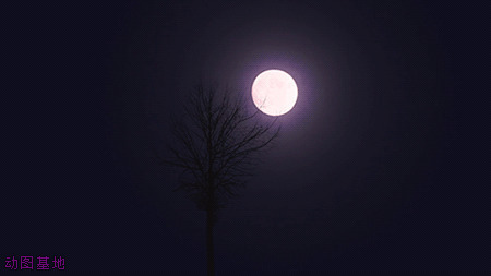 黑夜中一轮圆月慢慢的升起gif图片:月亮