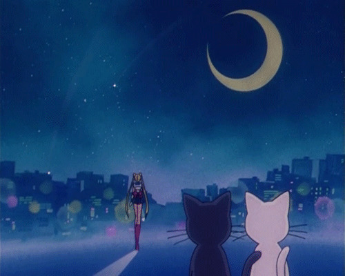 卡通女孩领着两只猫猫看流星划过天际gif图片:流星
