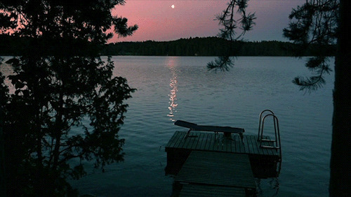 清晨宁静的湖畔动态图片
