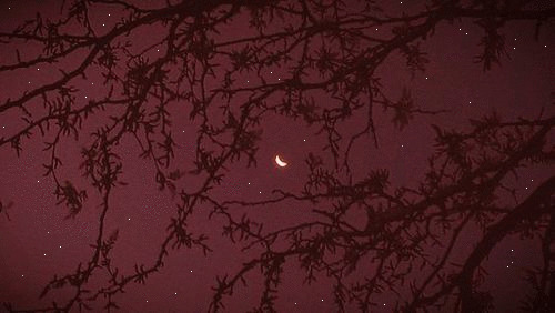 夜空中闪烁小星星gif图片:星星,月亮